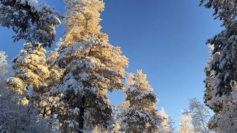 Ноябрьск