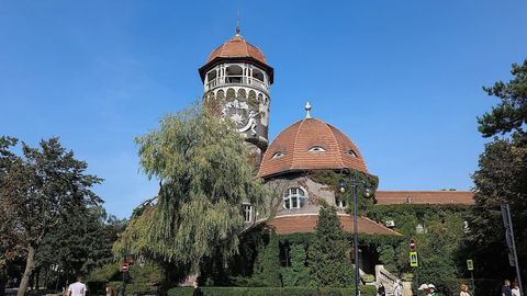 Пионерский